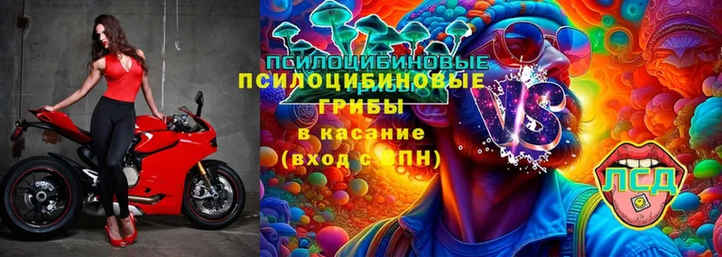 Галлюциногенные грибы Cubensis  Татарск 